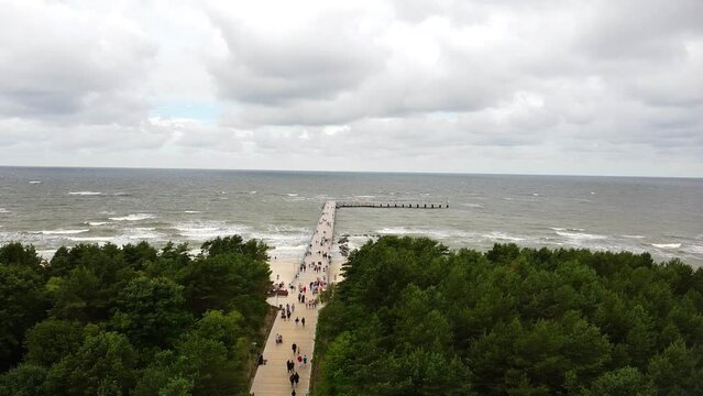 Aerial view of a beautiful forest near the Baltic Sea in Palanga, Lithuania