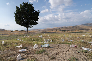 Plastic bags and bottles cause pollution of environment in wild rural area. Rubbish scattered on...