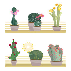 Blooming cacti in pots placed on wooden shelves isolated on white background Vector illustration in flat cartoon style Green houseplants collection