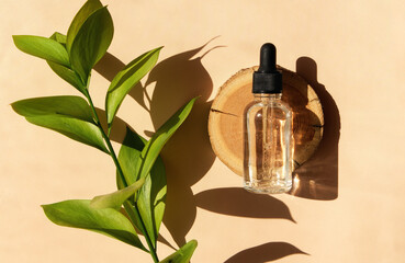 Transparent glass dropper bottle with serum, oil, hyaluron on a woodcut in the sunlight with ruscus flower in soft focus. Flat lay. Natural cosmetics presentation. Testers, beauty samples perfumery. 