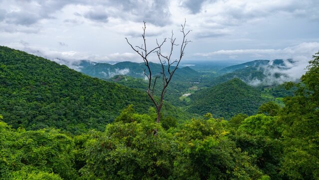 Aerial view of greenery mountains surrounded by dense trees under blue bright sky