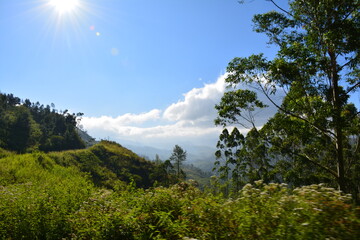 travel