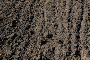 Soil texture background. Fertile soil suitable for planting plants. Plowed field, dry ground close-up