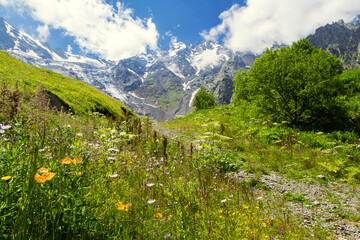 View of a mountain glacier.