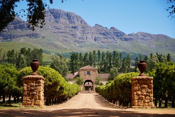 View of the Waterford wine estate winery in Helderberg, South Africa