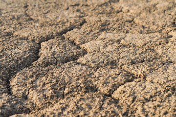 Selective focus of dry cracked earth due to drought in Europe, land without water, drought crisis, critically hot summer, dried up rivers.