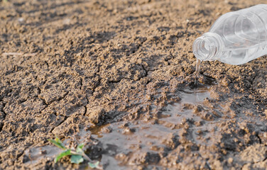 Fototapeta na wymiar Drought, selective focus on water pouring out of a bottle on dry land, dying plants due to drought, eco crisis and drought in Asia, critically hot summer, lack of water