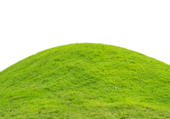 Grass isolated transparency background.