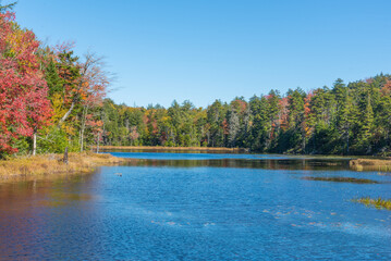 Fall color at the lake on a bright sunny day