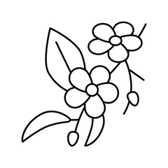 cherry blossoms line icon vector illustration