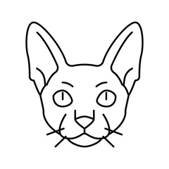 cornish rex cat cute pet line icon vector illustration