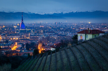 Turin (Torino) cityscape with the Mole Antonelliana - 525629140
