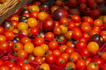 Cherry tomatoes on sale in an outdoor market