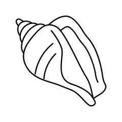 strombus sea shell beach line icon vector illustration