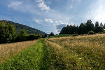 Road between fields leading towards the hills,