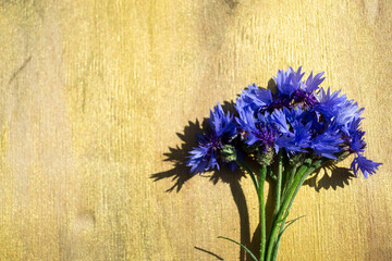 bouquet of blue flowers