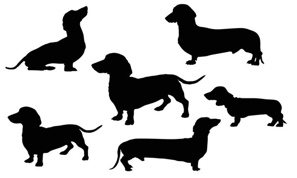 Dachshund Silhouettes set of 5 vector, Dog icon and symbols