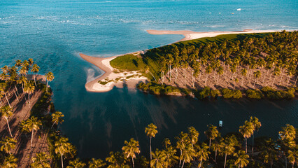 Tamandaré Carneiros Pernambuco Praia Litoral Paraíso Tropical Pernambucano Paradisíaco Coqueiro...