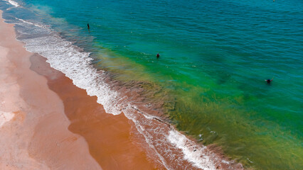 Tamandaré Carneiros Pernambuco Praia Litoral Paraíso Tropical Pernambucano Paradisíaco Coqueiro Mar Areia Ilha Céu Oceano Paisagem Drone Brasil Viagem Turismo Férias Verão