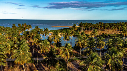 Tamandaré Carneiros Pernambuco Praia Litoral Paraíso Tropical Pernambucano Paradisíaco Coqueiro...