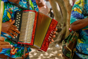 Dominican Republic. The beach musician plays the accordion. Hands on the accordion close-up. Accordionist. - obrazy, fototapety, plakaty