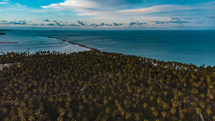 Tamandaré Carneiros Pernambuco Praia Litoral Paraíso Tropical Pernambucano Paradisíaco Coqueiro Mar Areia Ilha Céu Oceano Paisagem Drone Brasil Viagem Turismo Férias Verão