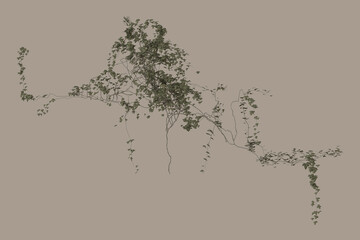 3D render of running ivy illustration