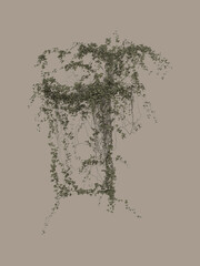 Fototapeta premium 3D render of climbing vine with green leaves