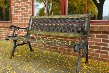 Empty bench in front of a brick wall covered with golden leaves