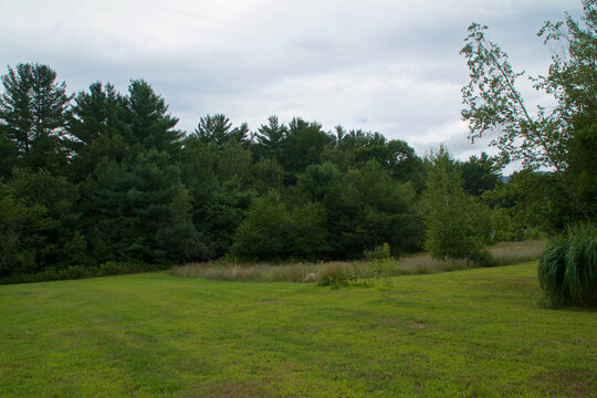 An open field or meadow bordered by forest of tall pine trees against a cloud filled sky in Upstate New York