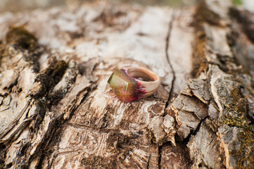 Photo of a ring made of epoxy resin lying on a texture cut of a tree. Eco-friendly material to create beautiful things. Bright unusual gift for a girl. Epoxy resin is often used for decor.