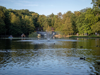 park with a fountain and a pond where ducks swim