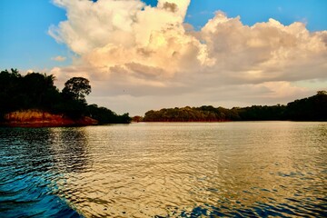 Wunderschöne Szene am Wasser im Amazonas Brasilien 