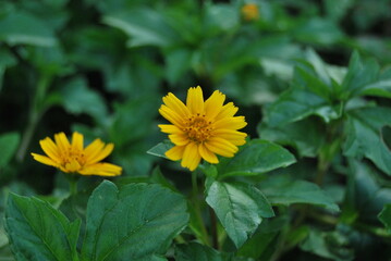 Nature Photography