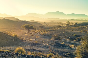 Scenic view of a dirt road and vast mountain landscape on a sunny day