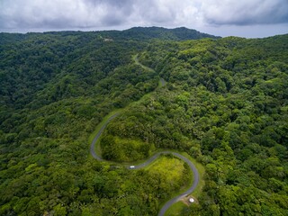Road through Caribbean Rain Forest UNESCO Biosphere Reserve