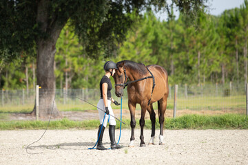 An equestrian works with a horse wearing a surcingle. 