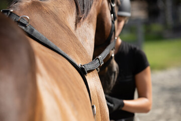 An equestrian works with a horse wearing a surcingle. 