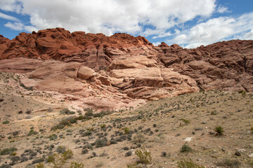 Fototapeta na wymiar Aztec Sandstone at Red Rock Canyon in the Mojave Desert, Nevada