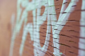 Paint graffiti on a wood wall