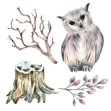 Set of owl and forest plants watercolor illustration isolated on white.