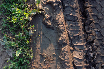 A deep car track on a Russian dirt road after rain. The imprint of car tires on the dirt. Dried mud on the roads in the village.