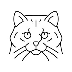 siberian cat cute pet line icon vector illustration