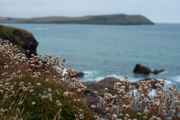 polzeath cornwall england coast coastal view landscape sea ocean beach rock stone island blue water 