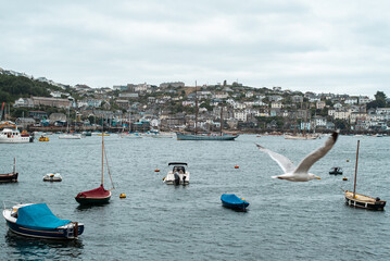 Obraz premium boats in the harbor seagull fowey cornwall