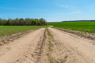 A dry sandy road passes through a field under the scorching sun and clouds. Dirt road outside the city in the village. Arid climate on earth. Climate change and its consequences.