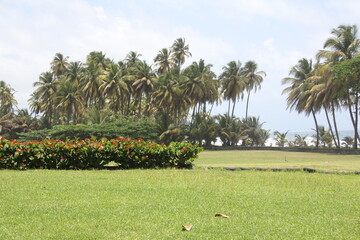 Travel to Caribbean islands,  2015