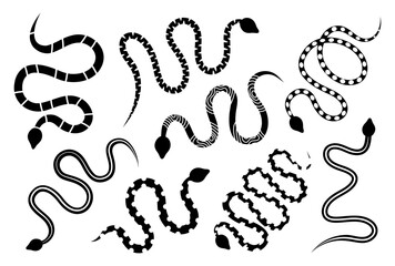 Black snakes silhouettes. Astrology symbol. Black snakes elements for tattoo design. Dangerous exotic rattlesnakes isolated on white background.