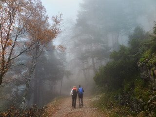 paseando entre la niebla