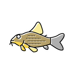 cory catfish color icon vector illustration